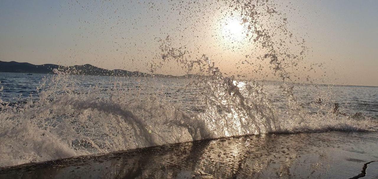 Orhideja Daire Zadar Dış mekan fotoğraf