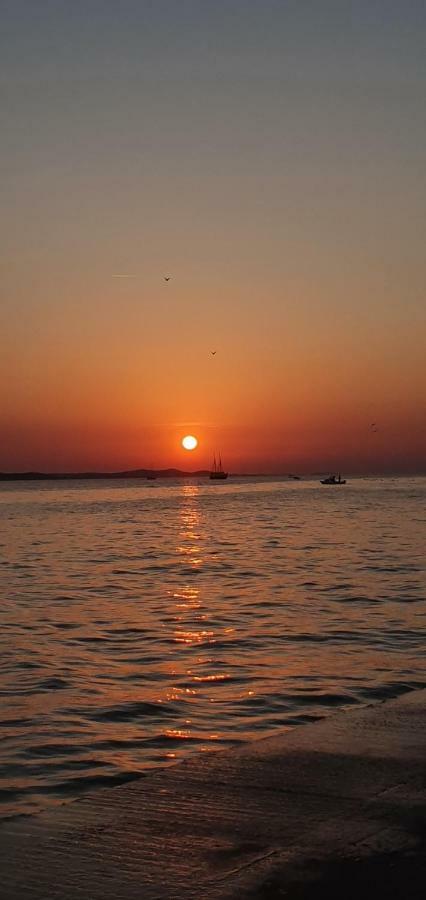 Orhideja Daire Zadar Dış mekan fotoğraf